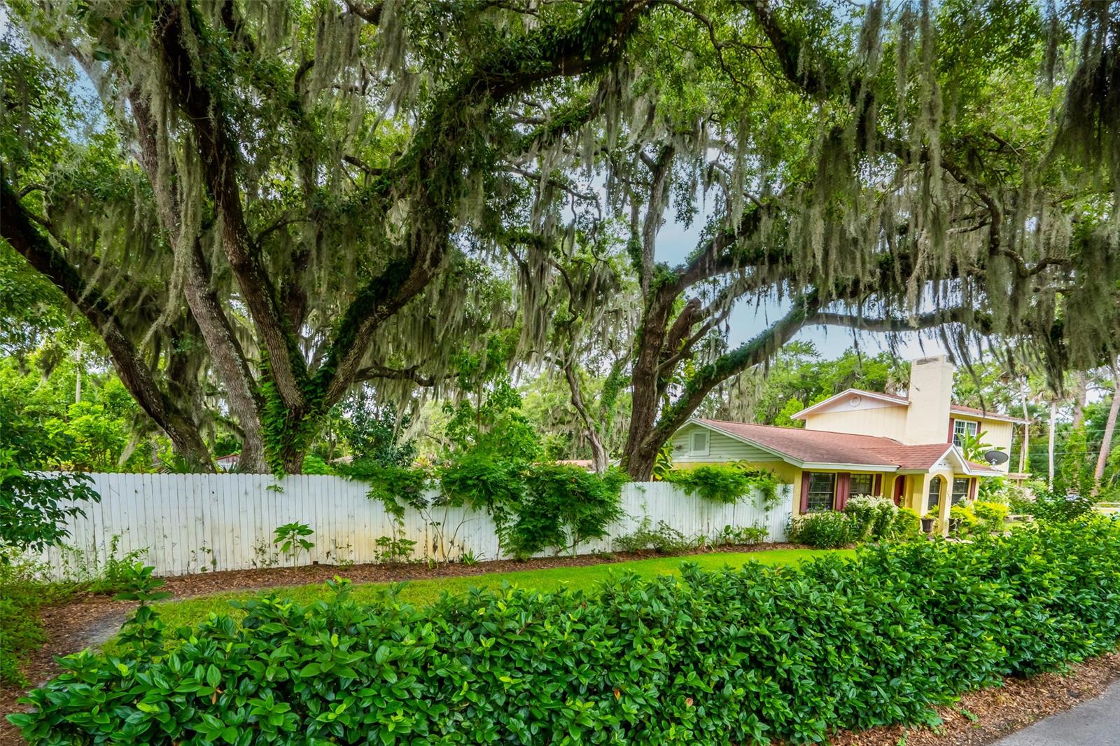 Hammonds New Smyrna - Residential