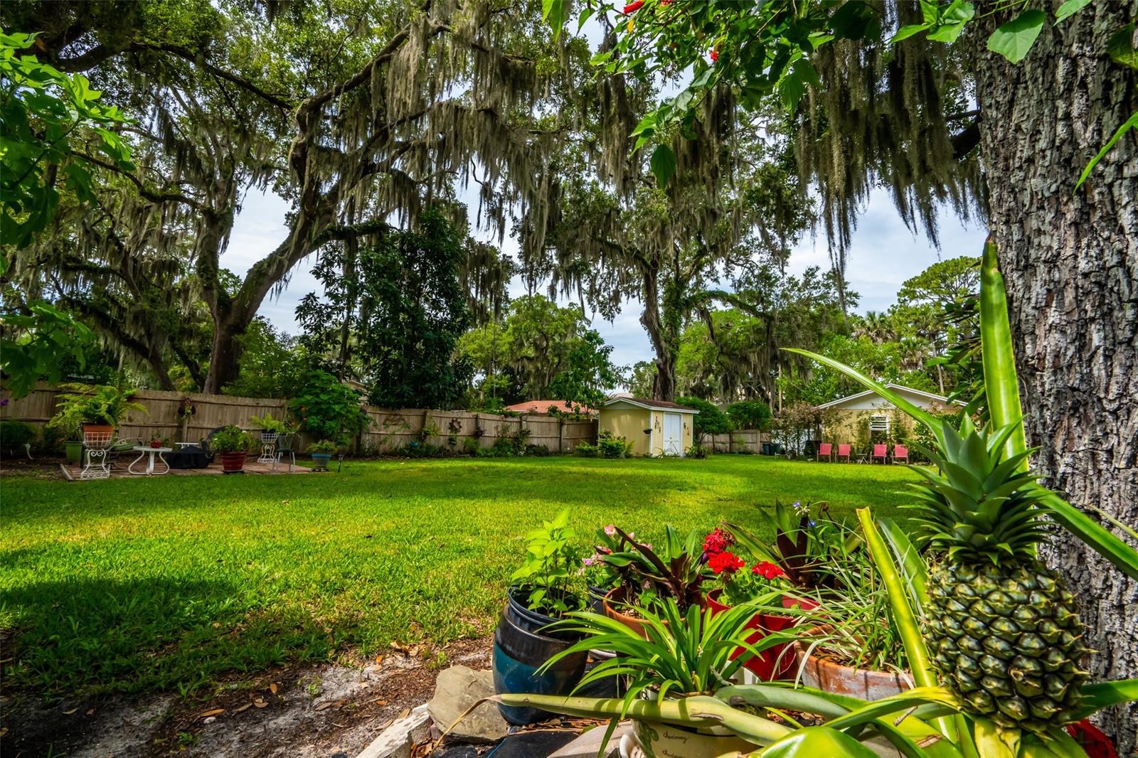 Hammonds New Smyrna - Residential