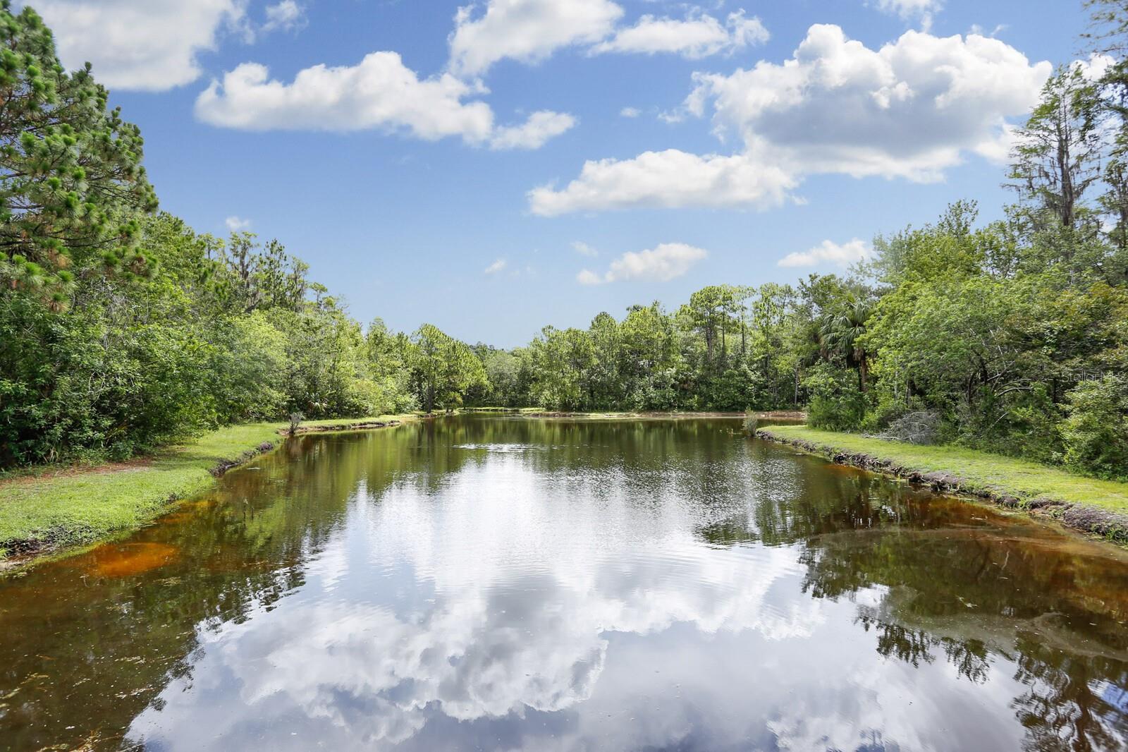 ARLINGTON PARK CONDO - Residential