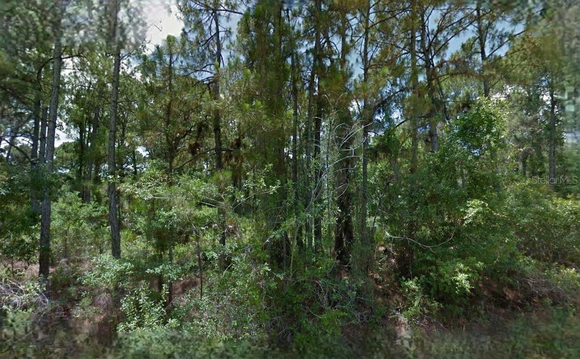 Nice vacant lot in a growing area. All information provided is deemed reliable but is not guaranteed and should be independently verified.