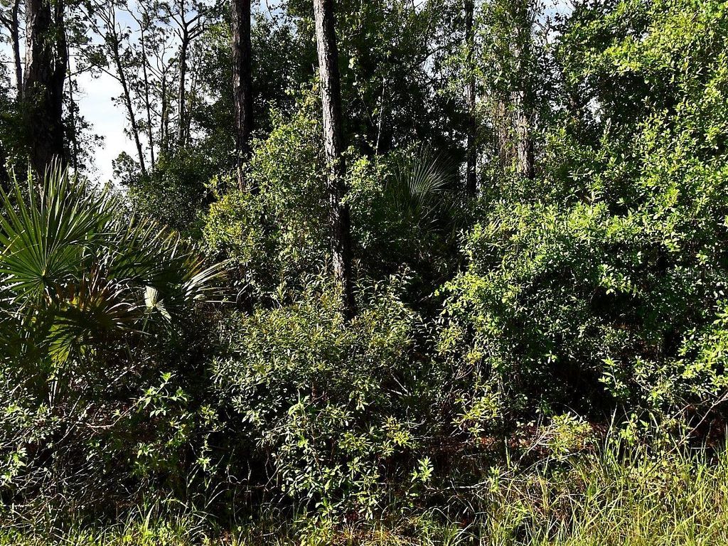 Photo of Boyd Avenue, North Port, FL 34286 (MLS # O6330439)