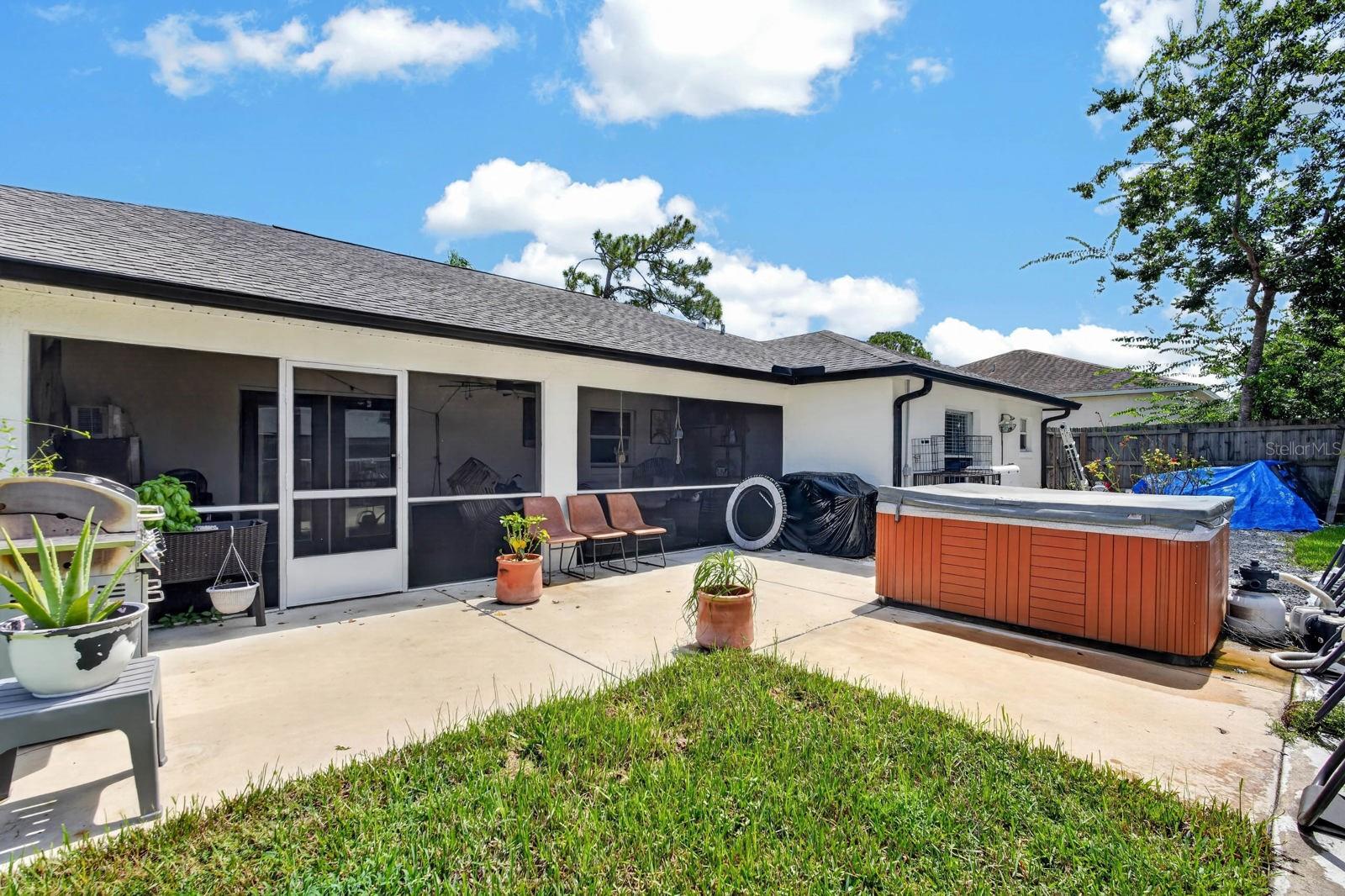 3216 UMBRELLA TREE