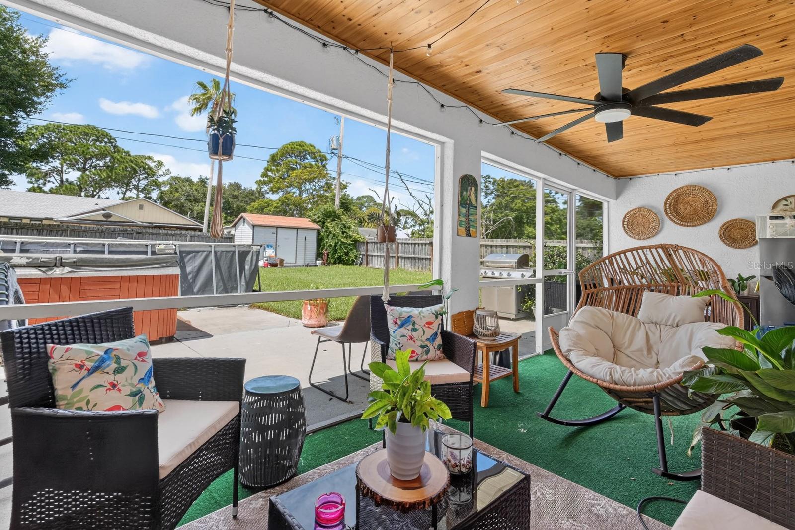 3216 UMBRELLA TREE