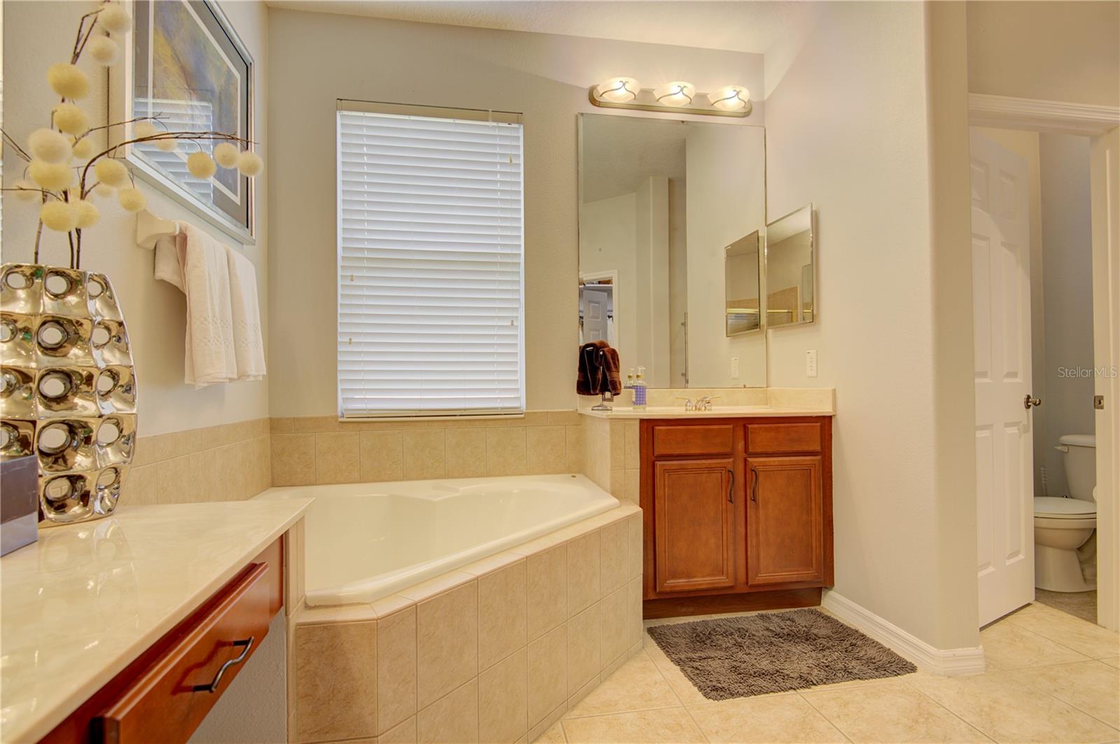 PRESERVE AT BLACK HAMMOCK REP - Residential