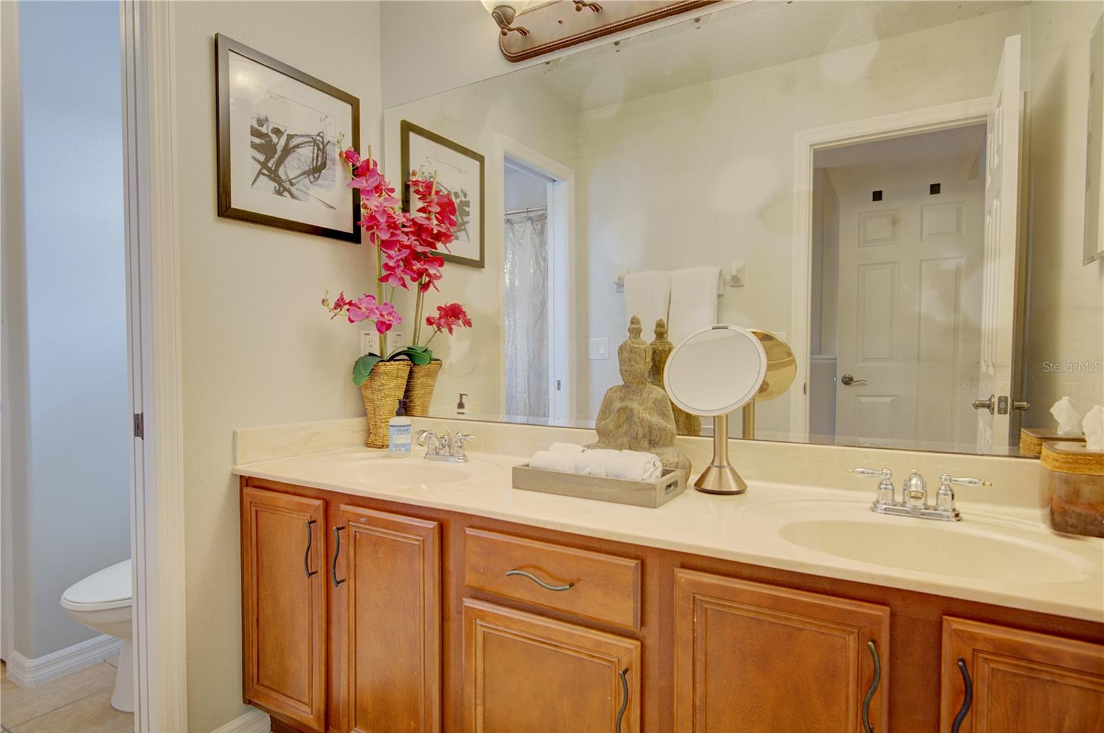 PRESERVE AT BLACK HAMMOCK REP - Residential