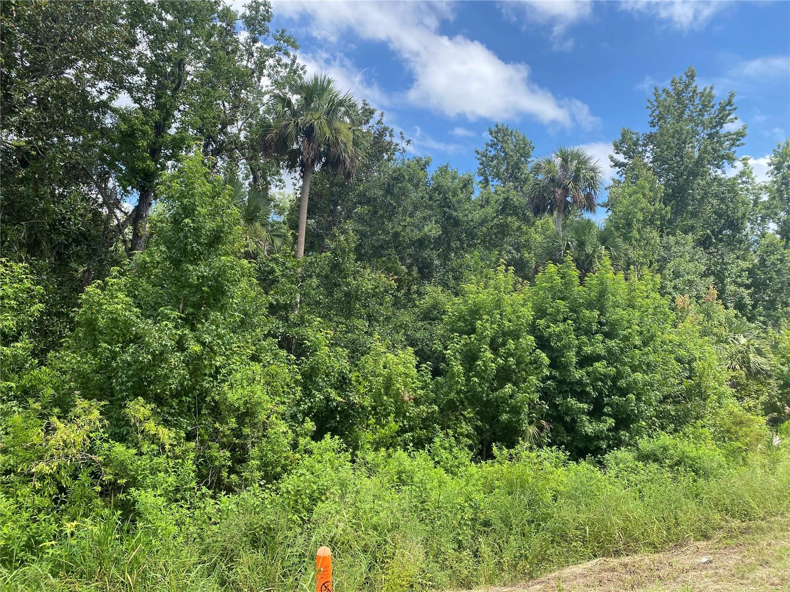 CYPRESS PARKWAY