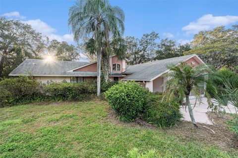 A home in SPRING HILL