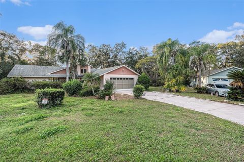 A home in SPRING HILL