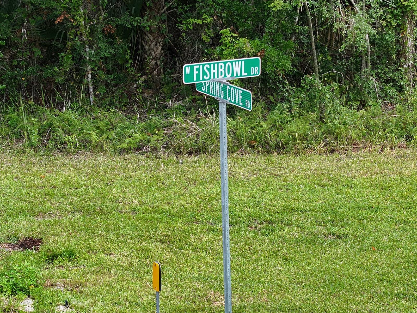 Build your dream home, nestled in the heart of historic Old Town, Old Homosassa, this remarkable property offers a rare opportunity to own just under 10 acres in one of Florida’s most scenic and sought-after coastal communities. Surrounded by natural beauty and located near the crystal-clear Homosassa Springs, this expansive parcel combines old Florida charm with endless potential. Whether you’re envisioning a private estate, a retreat-style getaway, or a unique development opportunity, this prime location offers the perfect blend of tranquility and accessibility. Enjoy the nearby waterfront, world-class fishing, boating, and the laid-back charm of a vibrant artist and seafood village—right from your backyard.
This is zoned CLR, this allows for site built and modular homes and not manufactured homes. Please be advised this property is entirely in the AE flood zone, and is marked as potential wetlands. Surveys will be required for permitting purposes.