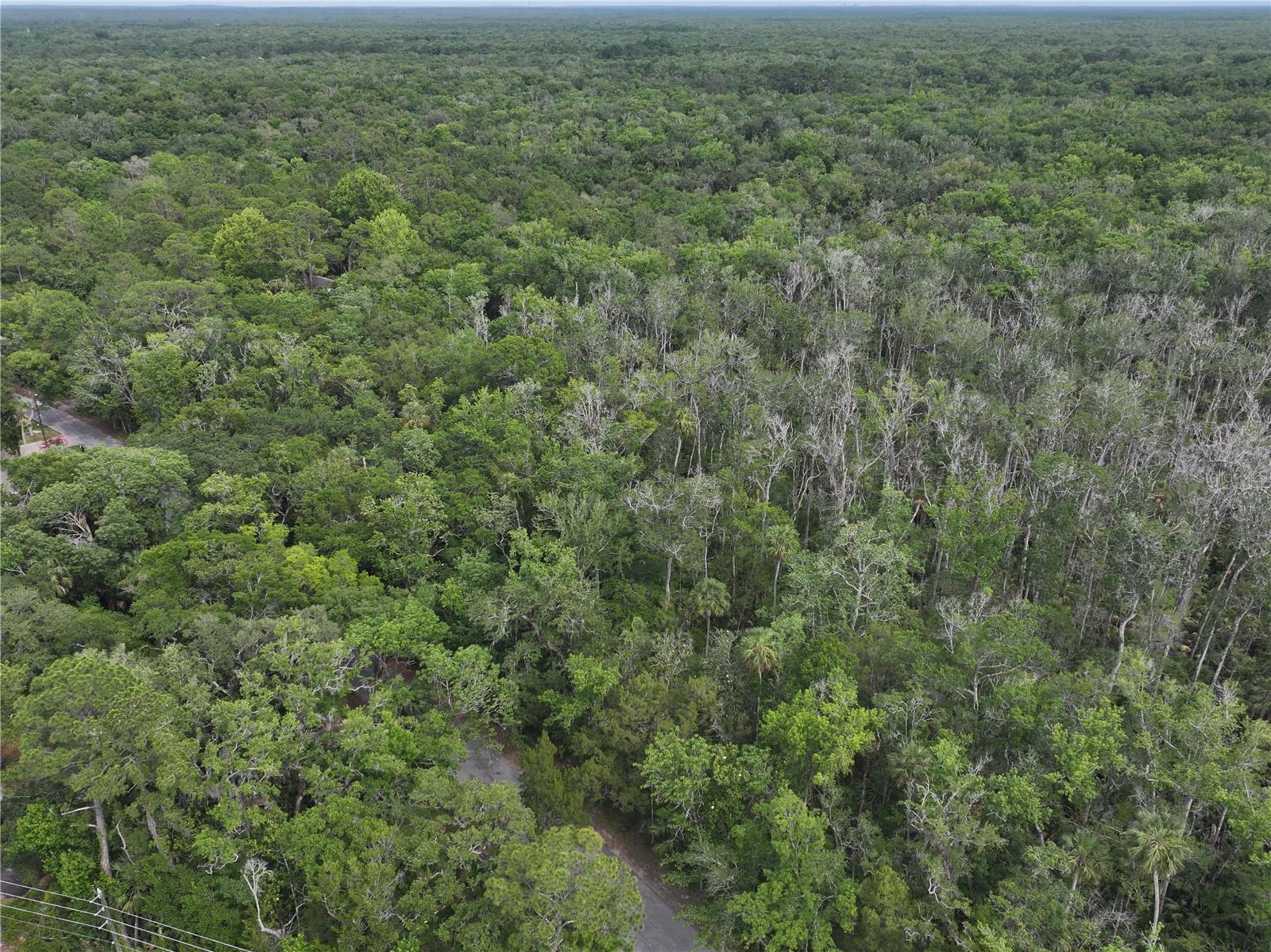 HOMOSASSA CO SUB - Land