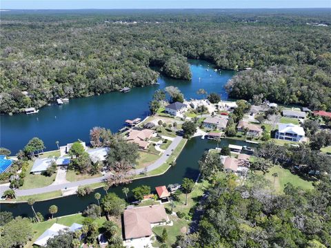 9600 W FISHBOWL DRIVE HOMOSASSA FL 34448