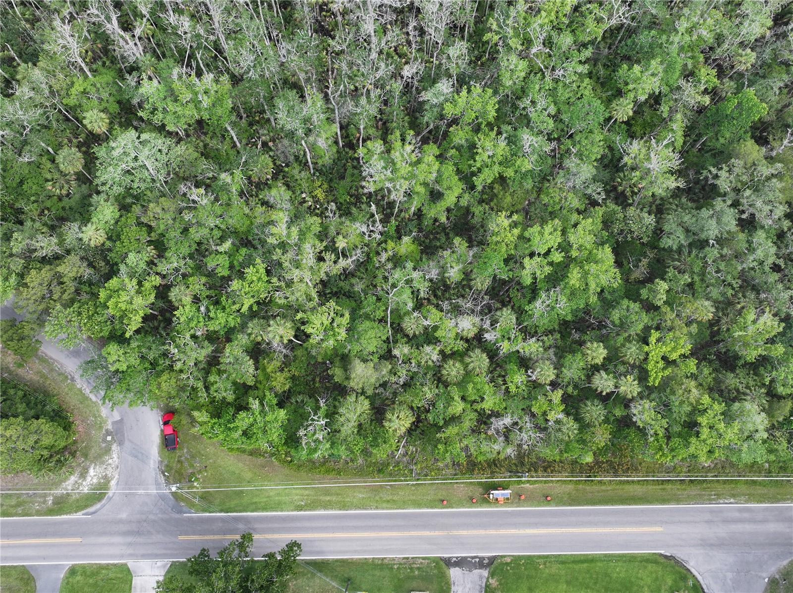 HOMOSASSA CO SUB - Land