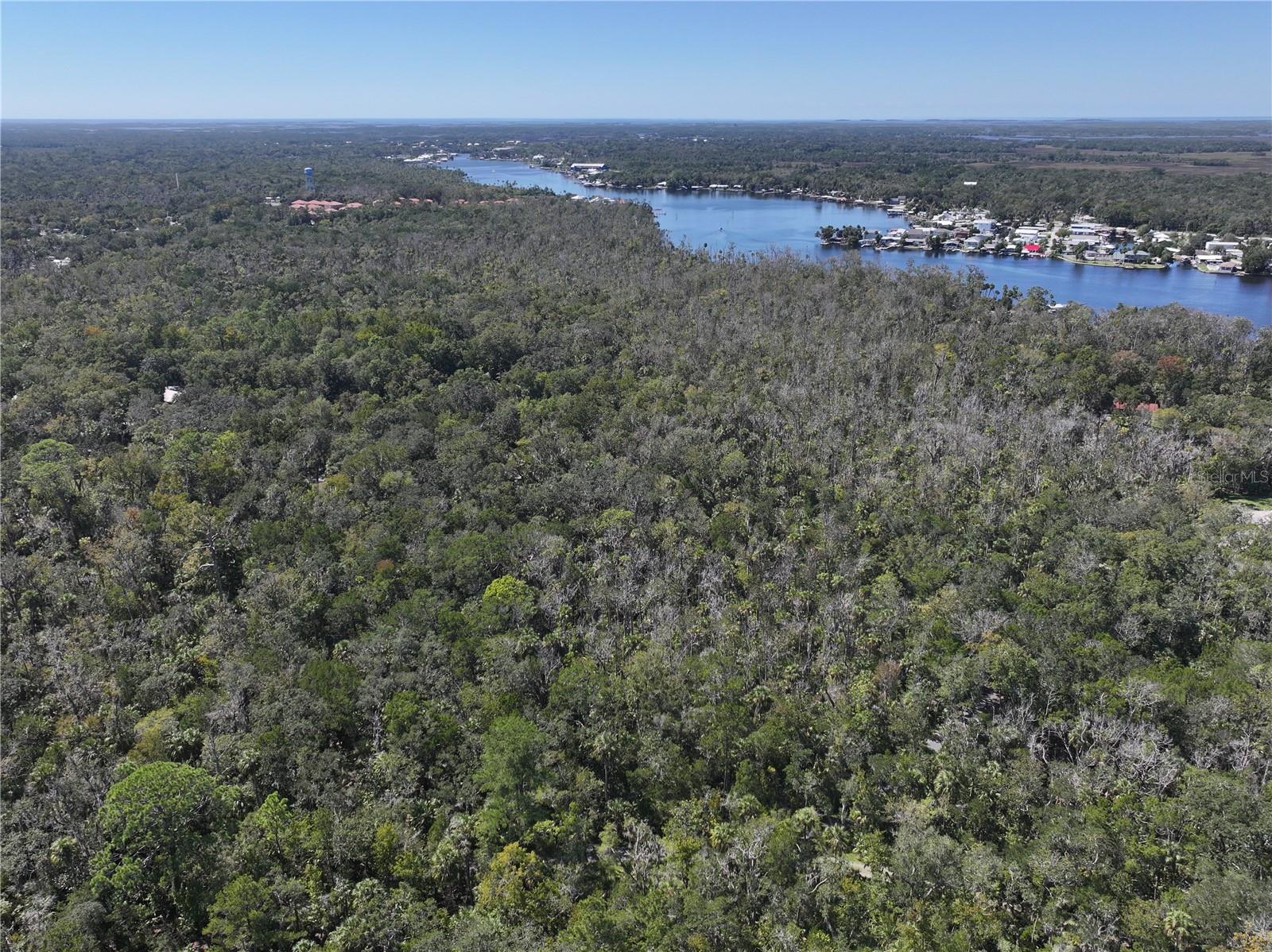HOMOSASSA CO SUB - Land