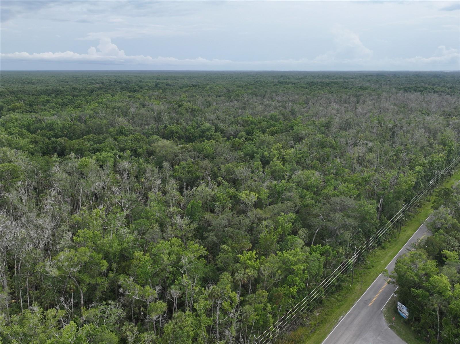HOMOSASSA CO SUB - Land