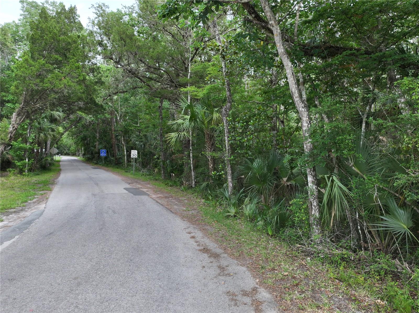 HOMOSASSA CO SUB - Land