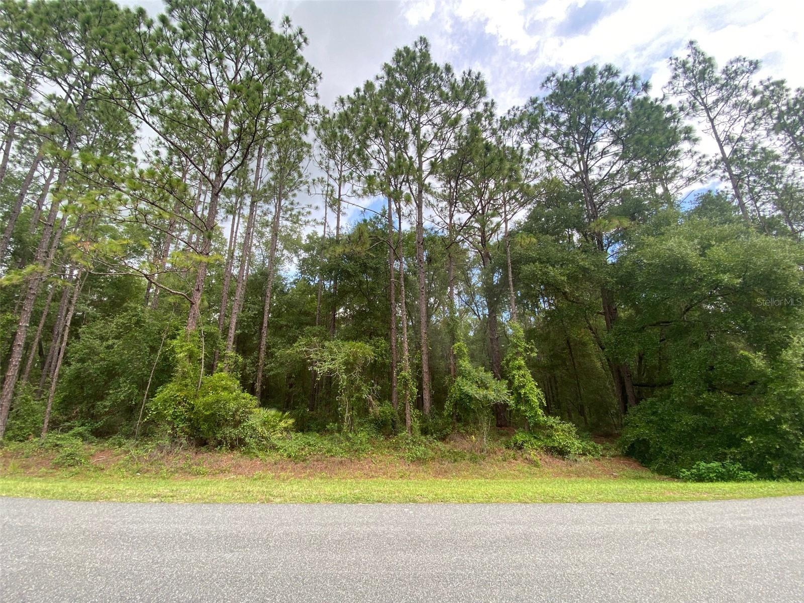 Whether you’re looking to build your dream home, or invest in land, this property provides a rare opportunity to own over an acre of land along a paved road in one of Ocala’s most desirable neighborhoods. Rolling Oaks is known for its quiet charm, large lots, and proximity to nature trails, the Ocala National Forest, Silver Springs, and some of the best equestrian facilities in the state. Don't miss out on this rare opportunity! Please call with any questions.