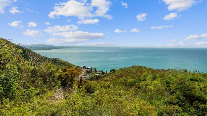 Property has several building sites with an amazing ocean and mountain views. Easy access from road 115 leading to a private concrete road inside the property. Property is in boarder line of the towns of Rincón and Añasco in Caguabo ward of Añasco. Lot size: Aprox 14.4 acres, aprox 14.46 "cuerdas", 56,847.8194 square meters, and 622,688.74 square feet.