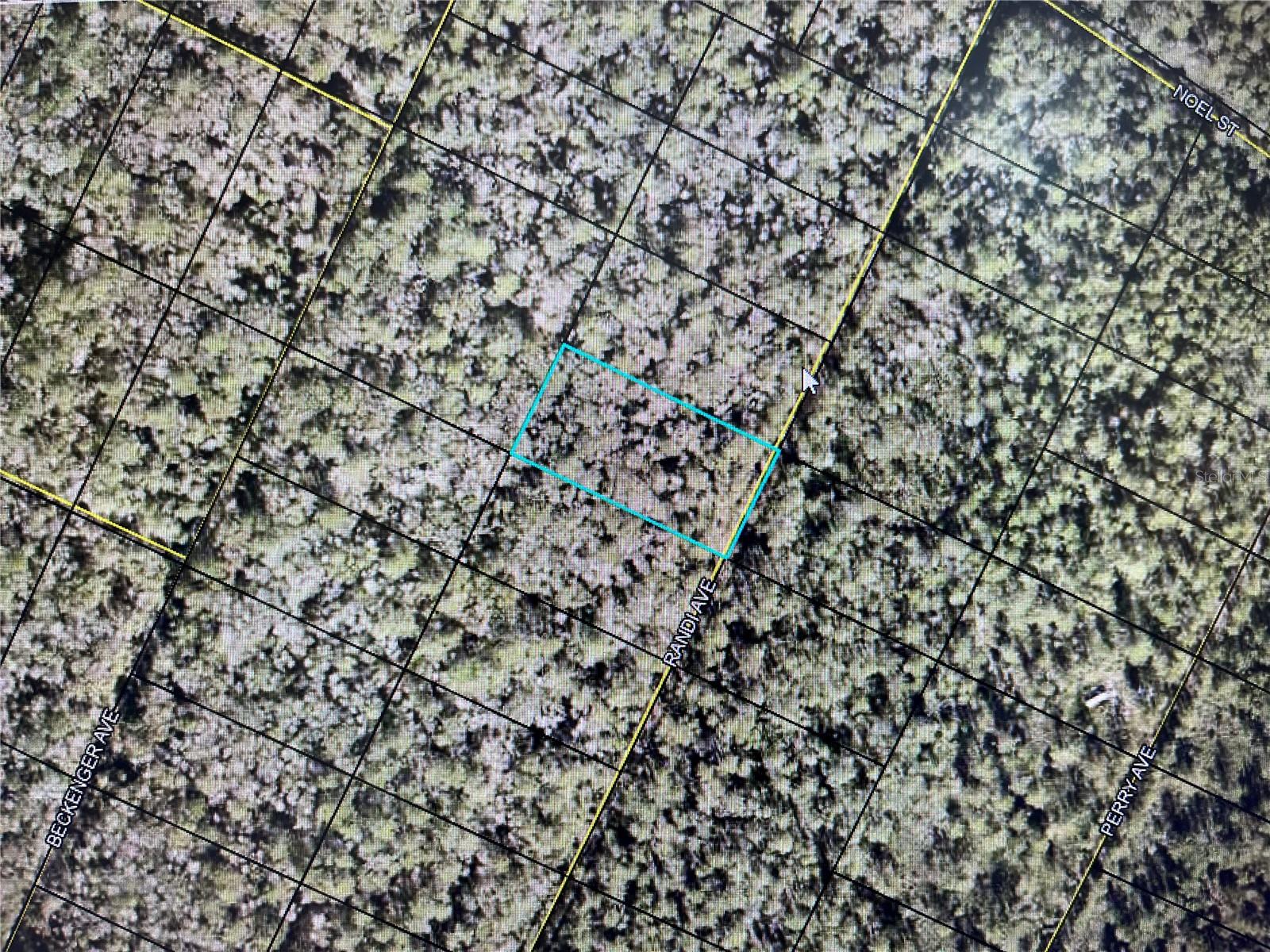 FLAGLER ESTATES 547 UNIT 5 - Land