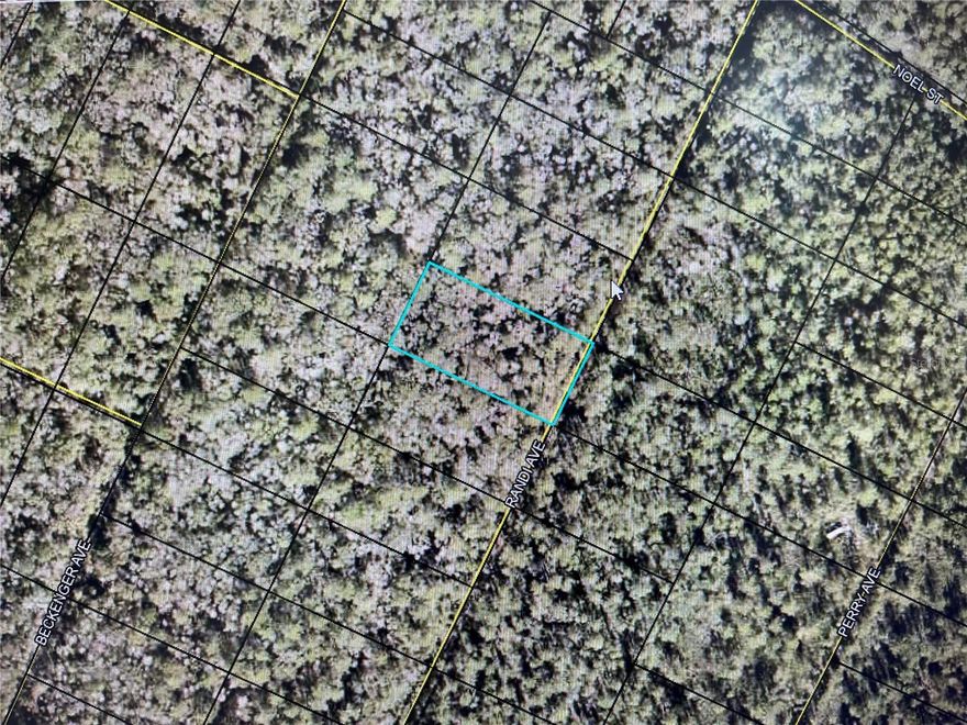 BUY AND HOLD OPPORTUNITY!!!!!
Investment property in Flagler Estates. Unimproved, wooded residential lot in Flagler County. Perfect for ATV'S or Bikes, Camping or for Investment Purposes. Buyer to do all due diligence prior to offer.