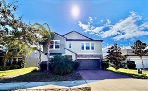 25118 LAMBRUSCO LOOP LUTZ FL 33559