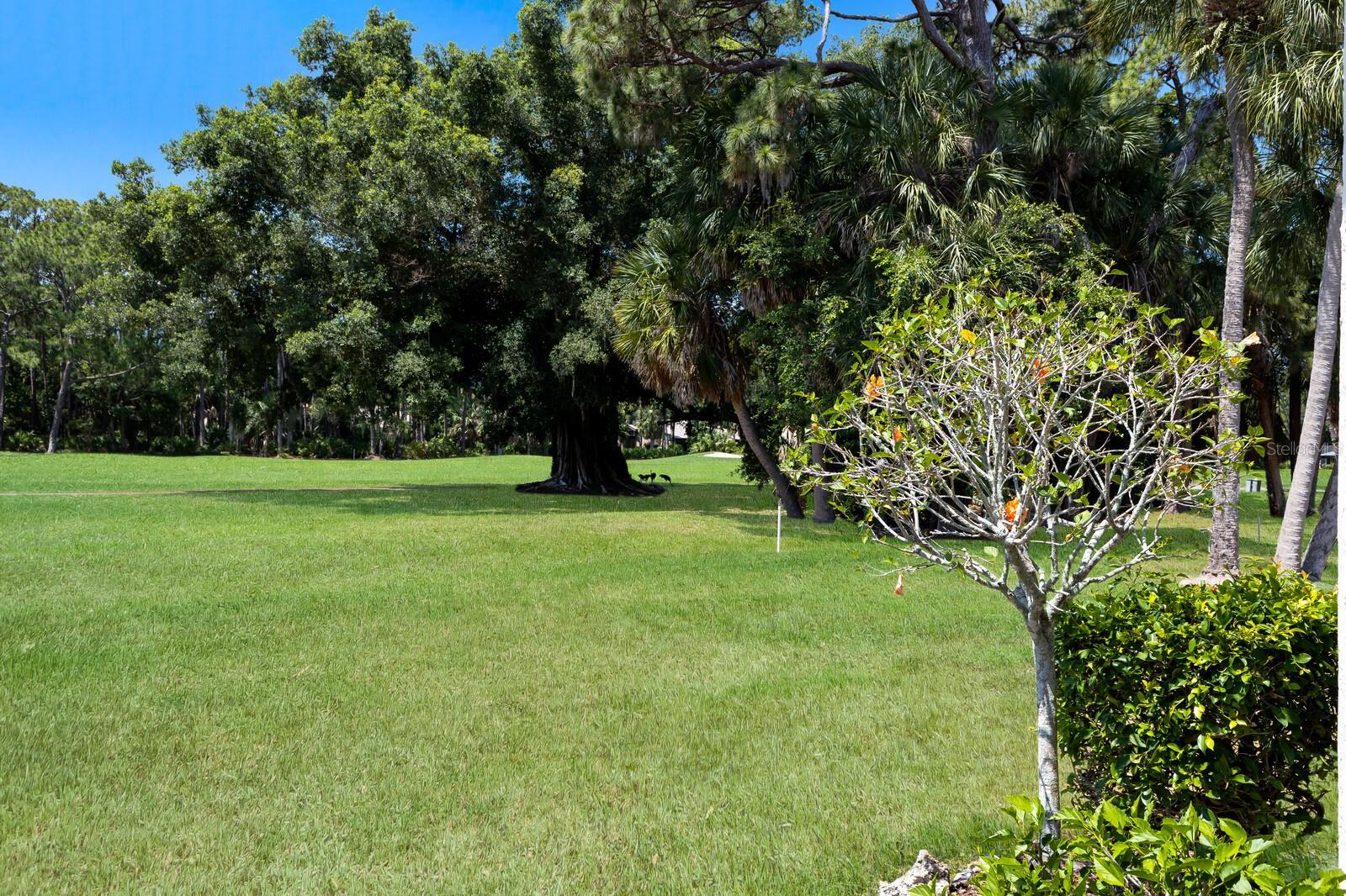 LONGWATER CHASE - Residential Lease