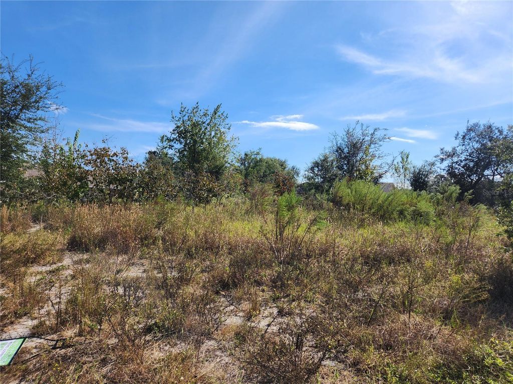 Photo of 7252 Sky Court #Lot 1, Spring Hill, FL 34606 (MLS # W7880199)