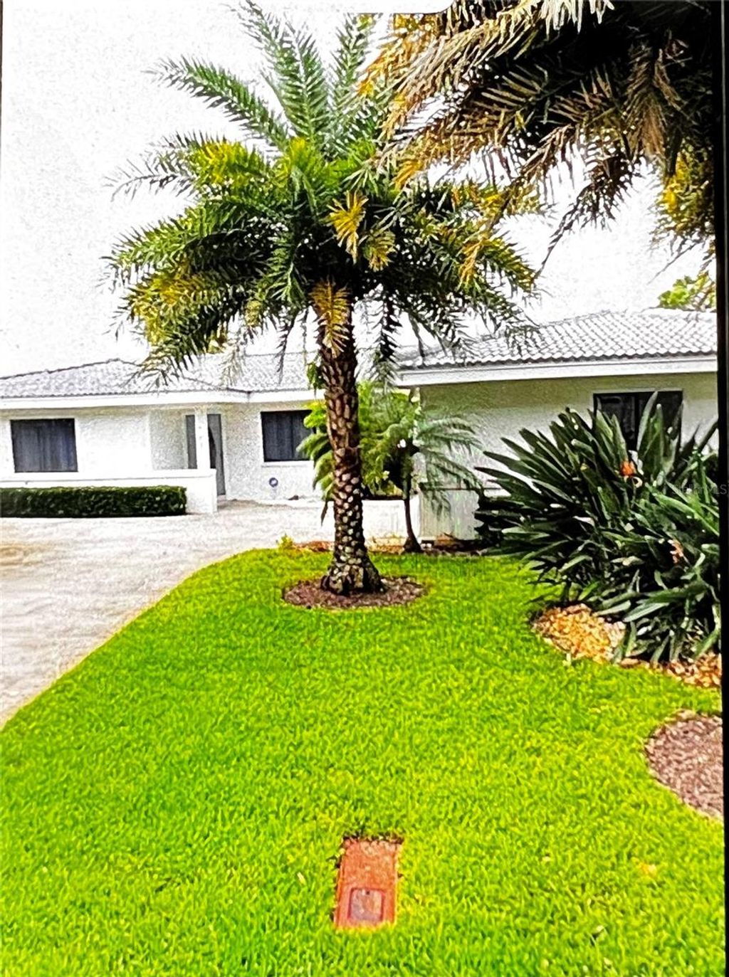 Photo of 2431 Sunrise Drive SE, St Petersburg, FL 33705 (MLS # TB8486750)