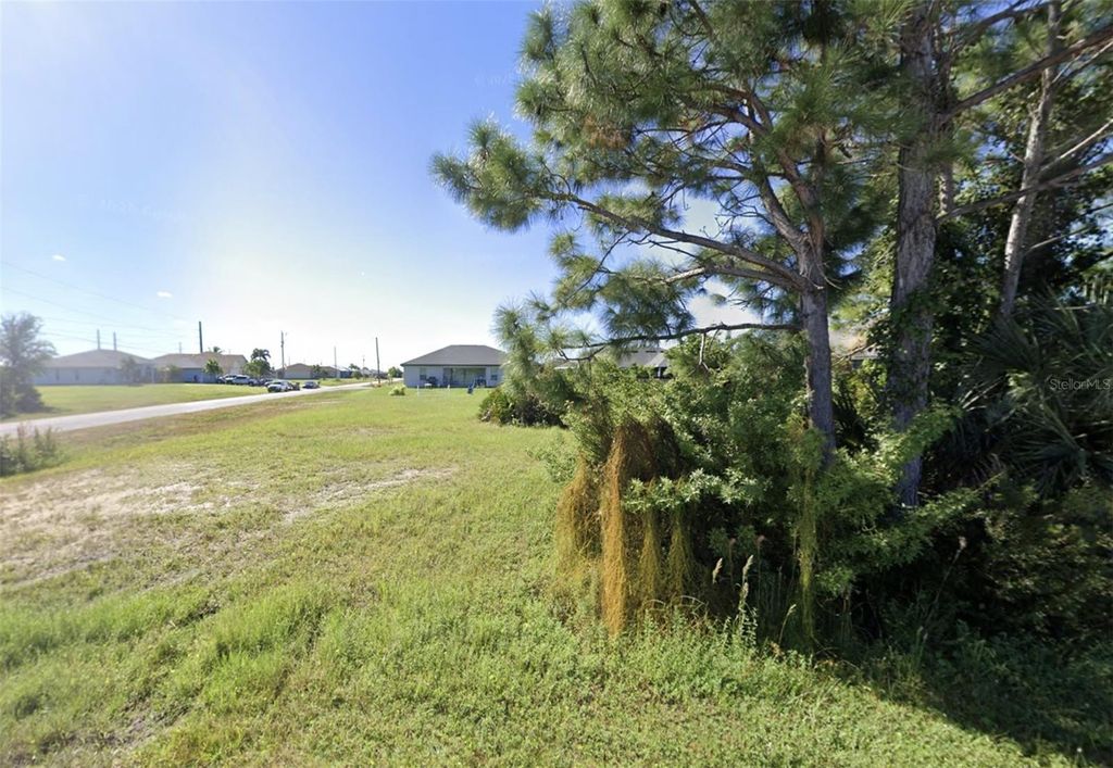 Photo of 2416 NW 9th Ter, Cape Coral, FL 33993 (MLS # O6393668)