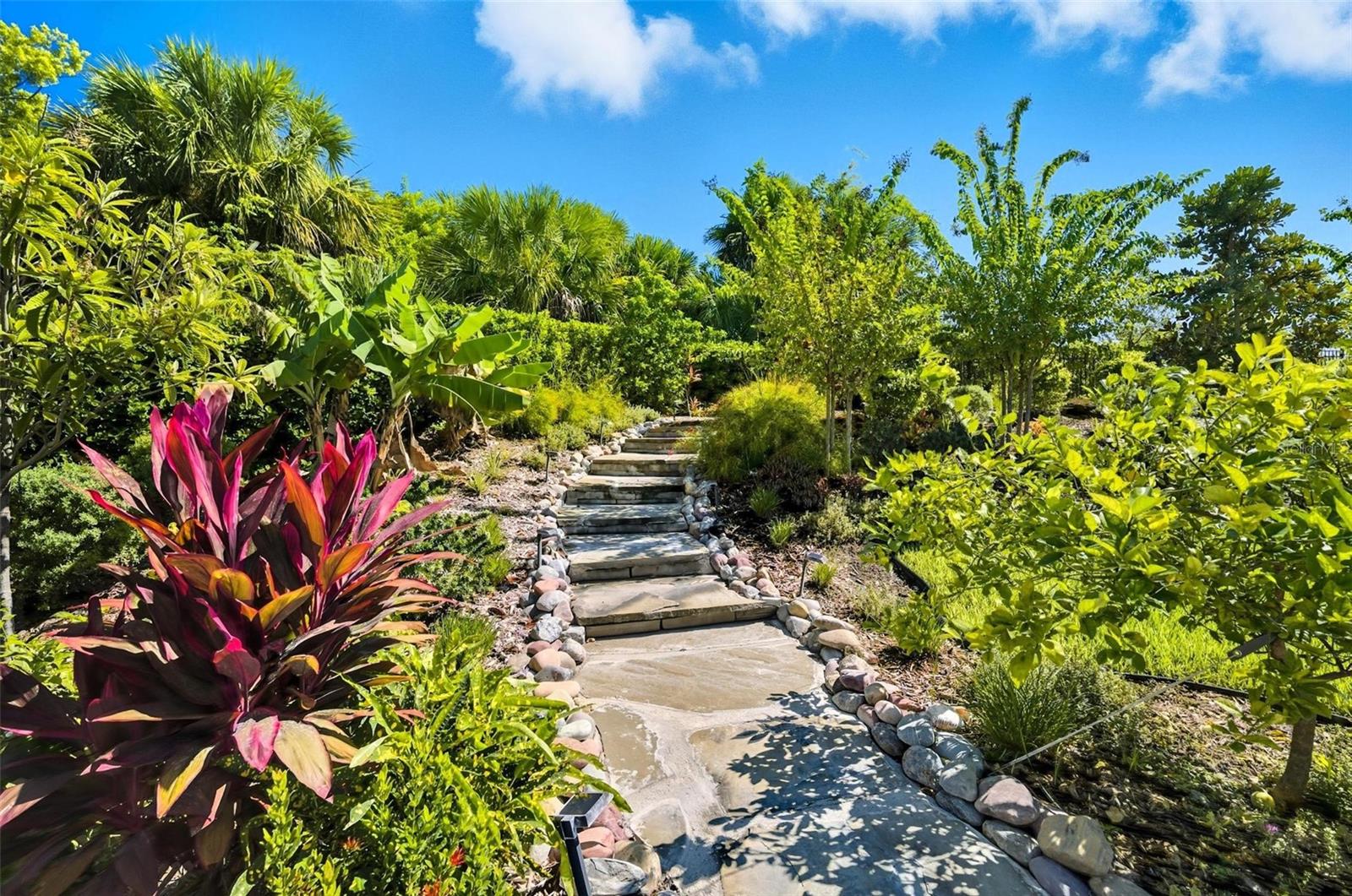 MARINA DEL PALMA - Residential