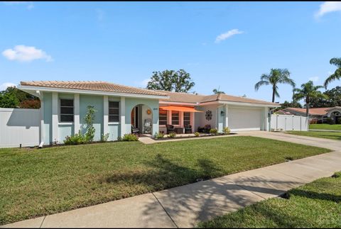 A home in PALM HARBOR