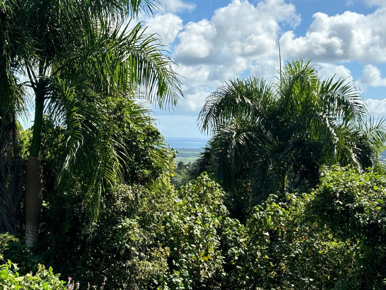 BARRIO RIO BLANCO - Land