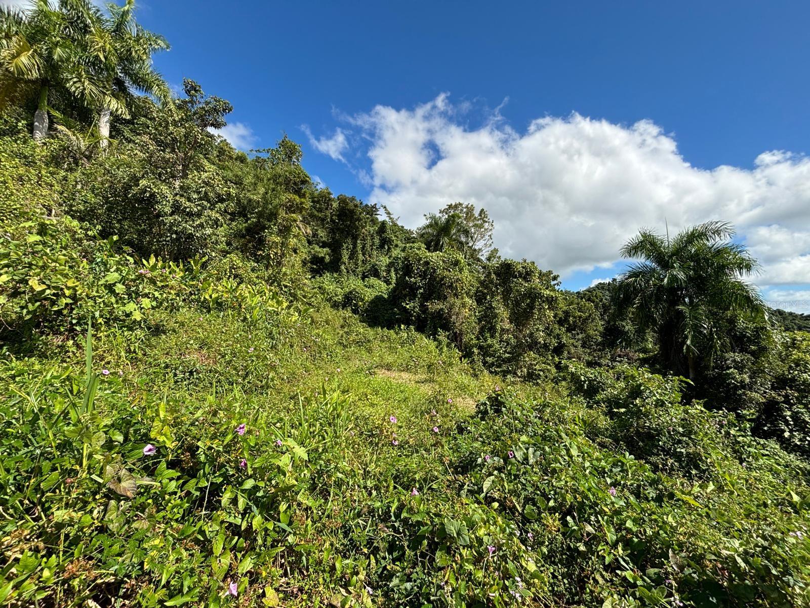 BARRIO RIO BLANCO - Land