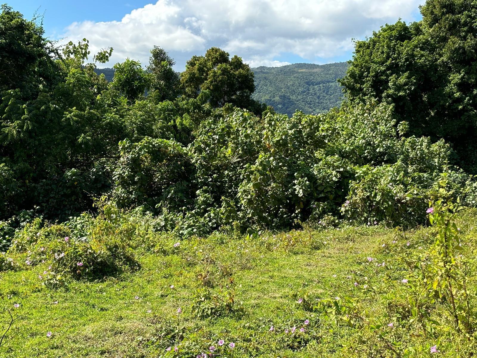 BARRIO RIO BLANCO - Land