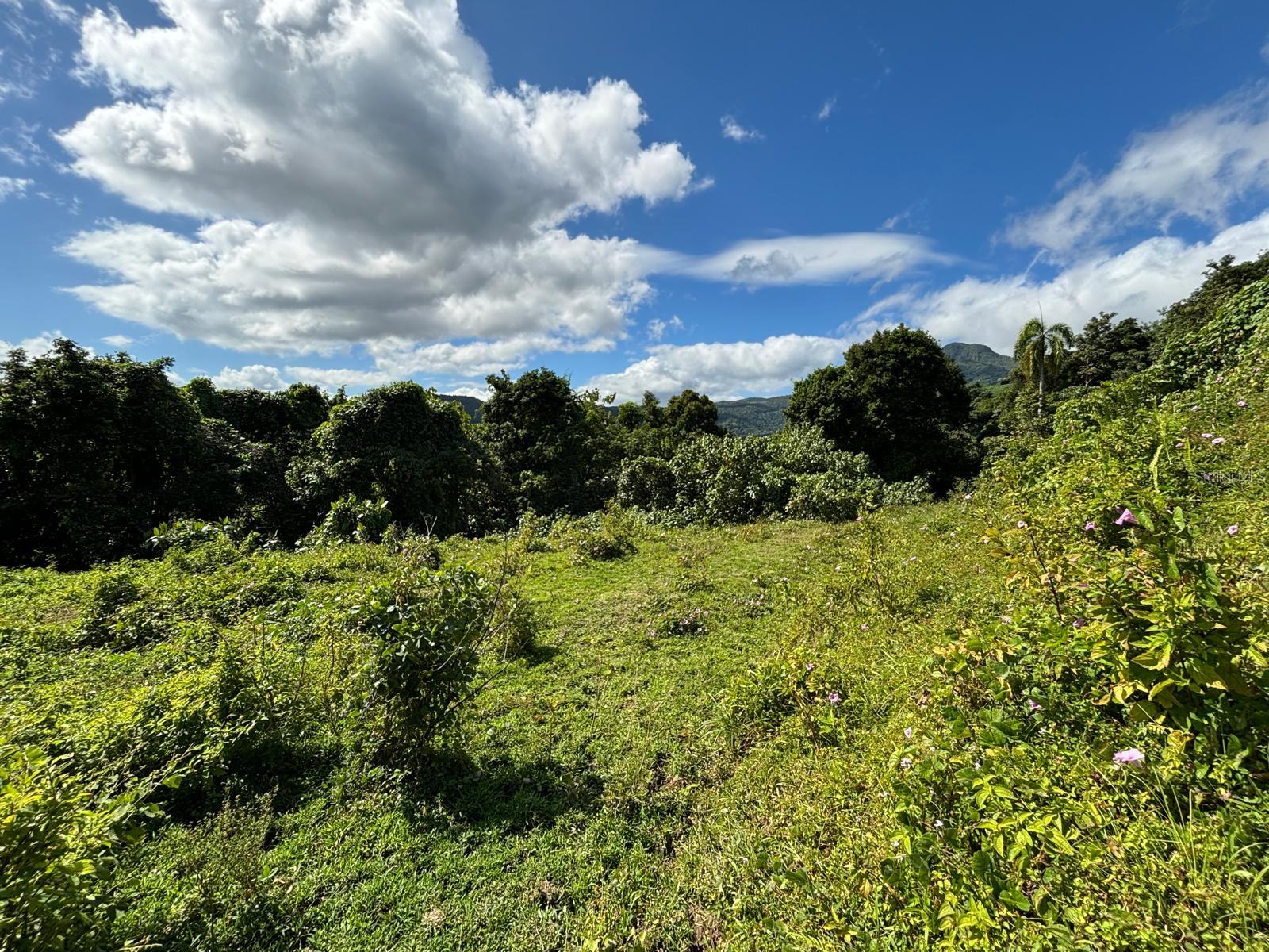 BARRIO RIO BLANCO - Land