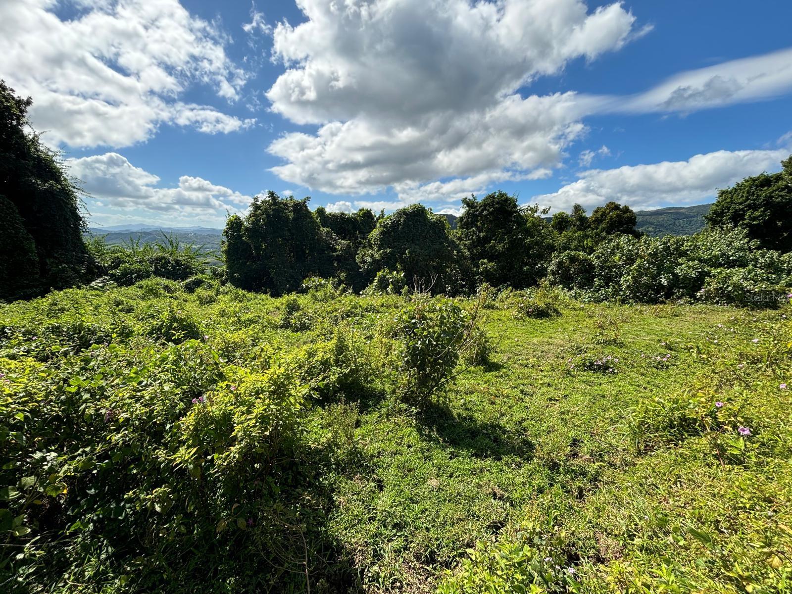 BARRIO RIO BLANCO - Land