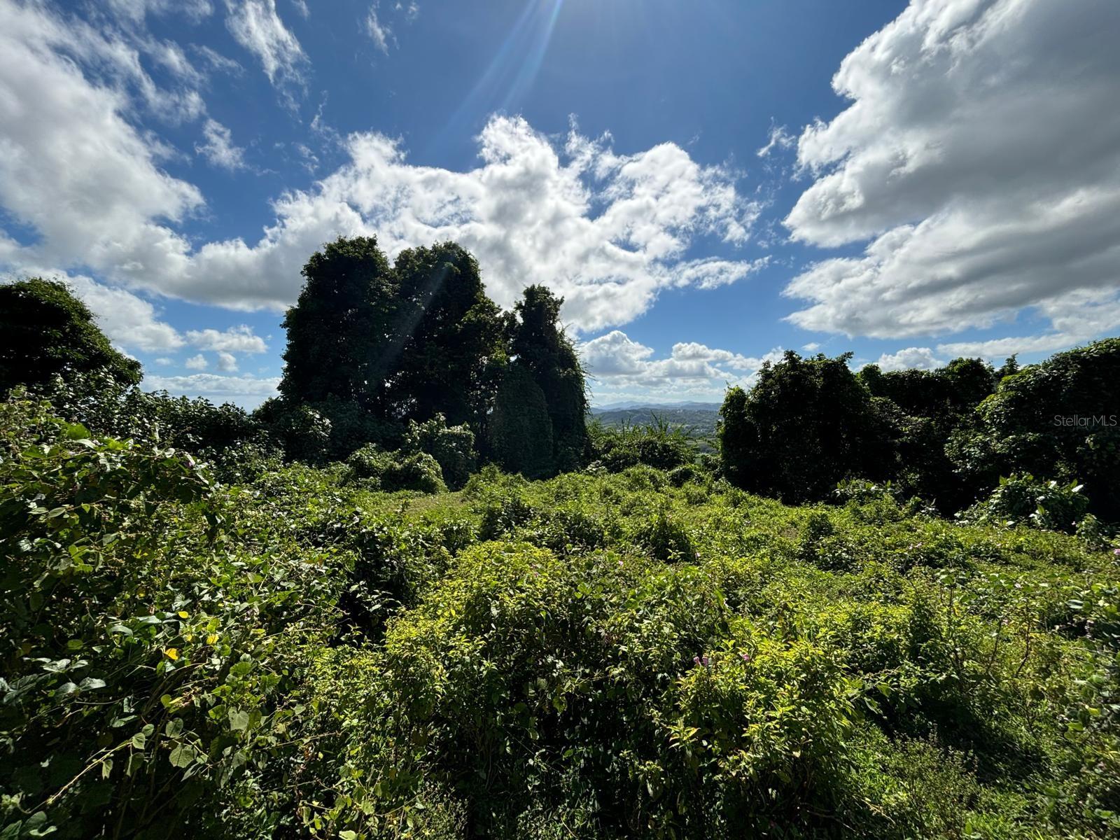 BARRIO RIO BLANCO - Land