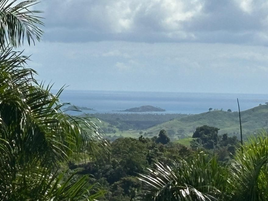 Discover a unique opportunity to own 18.30 acres of land in the heart of Naguabo, Puerto Rico, just a short distance from the breathtaking Charco El Hippie, a popular natural attraction known for its pristine waters and lush surroundings.

This expansive property offers endless possibilities, whether you're envisioning a private retreat, an eco-tourism project, an agricultural venture, or sub-division development. The land's proximity to nature makes it ideal for those seeking tranquility or an investment in the growing trend of rural and adventure tourism.

With its generous size and excellent location, this property is a blank canvas for your vision. Don't miss this chance to create something extraordinary in one of Puerto Rico's most scenic areas.