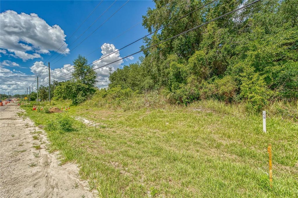 Photo of Turkey Creek Road, Plant City, FL 33563 (MLS # TB8436965)