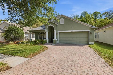 Photo of 10930 May Apple Court, Land O Lakes, FL 34638 (MLS # TB8491788)