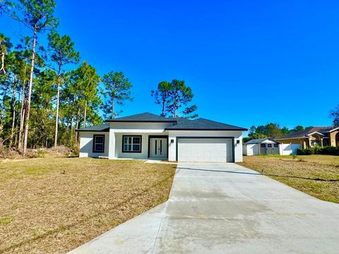 A home in CITRUS SPRINGS