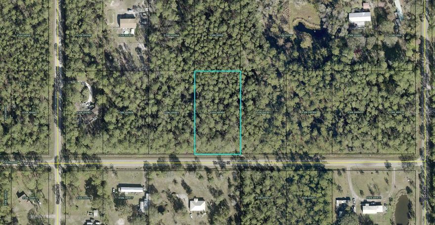 Beautiful Country Lot!    LOCATION     *     LOCATION     *     LOCATION          The Oldest City in the United States within reach! Build your DREAM HOME GETAWAY HERE  and ENJOY ALL THE PRIVACY of COUNTRY LIVING  and LIVE CLOSE ENOUGH to REACH the FUN FESTIVITIES  that this County has!  DRIVE BUY!