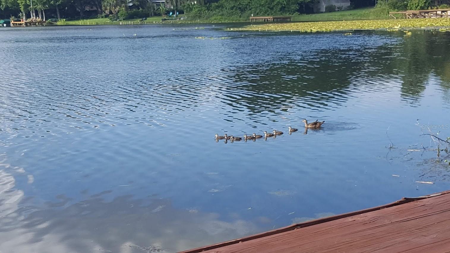 BALLMER AND WEISS MANOR - Residential