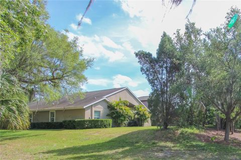 A home in LITHIA