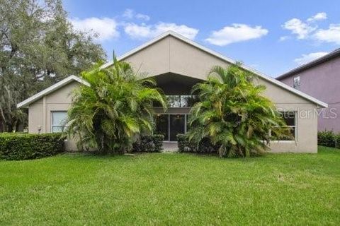 A home in LITHIA