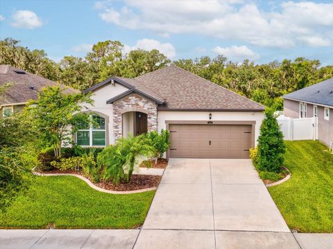 Photo of 12925 Satin Lily Drive, Riverview, FL 33579 (MLS # TB8413632)