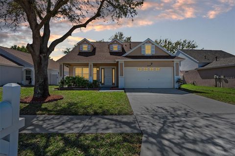 24648 SIENA DRIVE LUTZ FL 33559