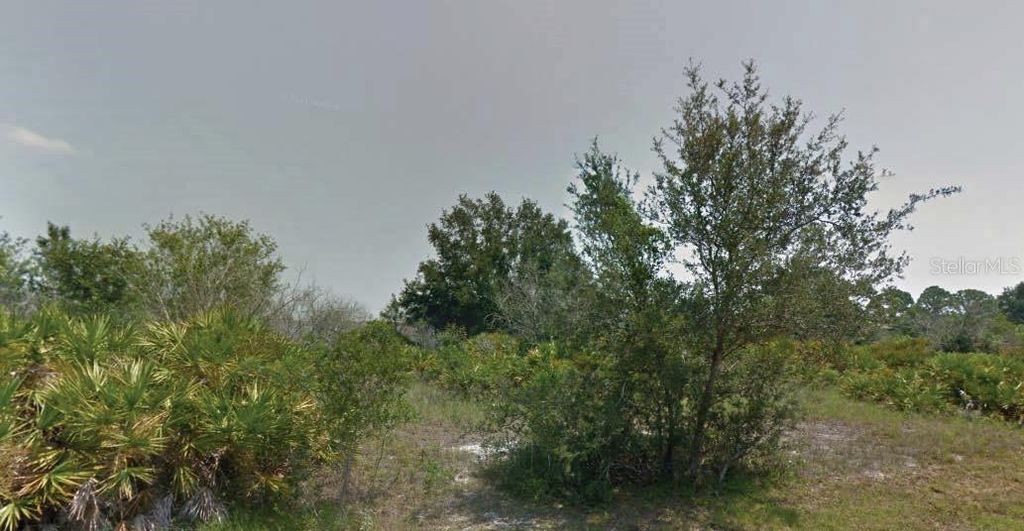 Photo of 113 Edenwald Avenue NW, Lake Placid, FL 33852 (MLS # O6311223)