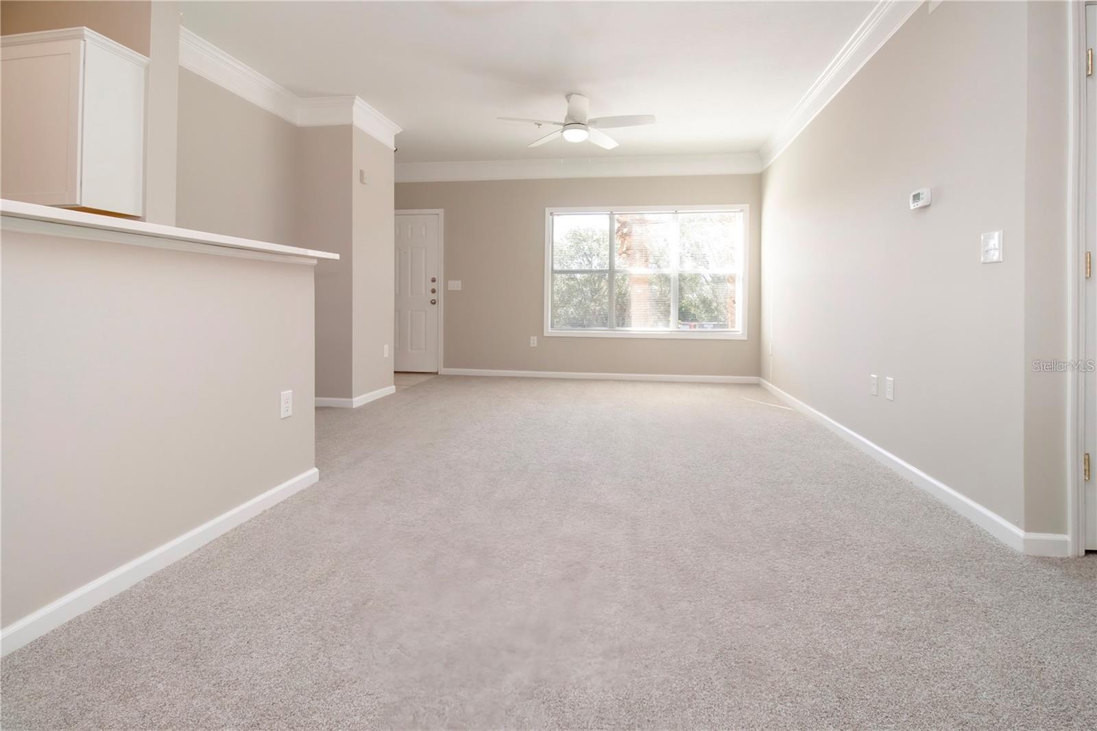 THE PALMS OF CORTEZ - Residential