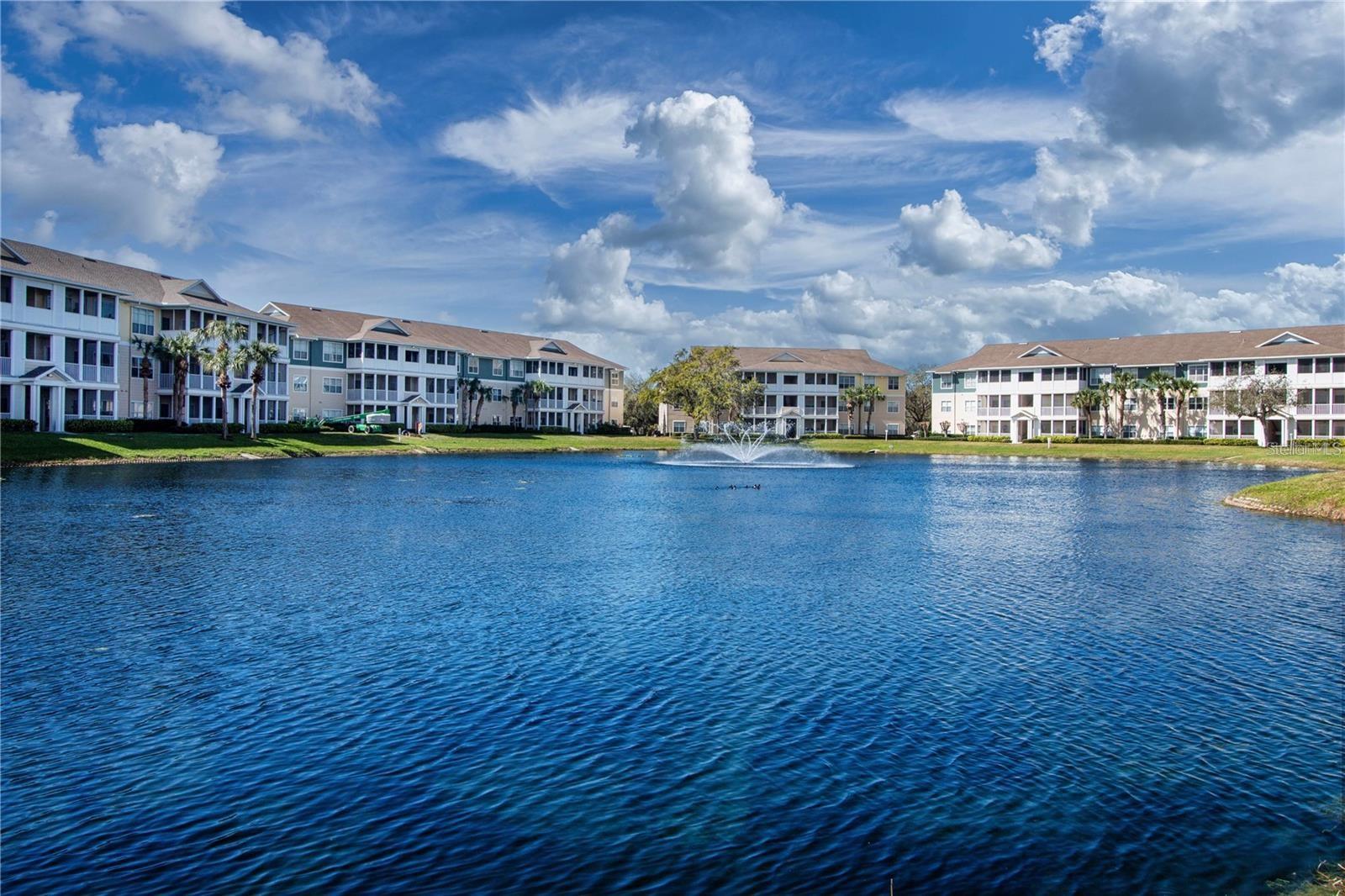 THE PALMS OF CORTEZ - Residential