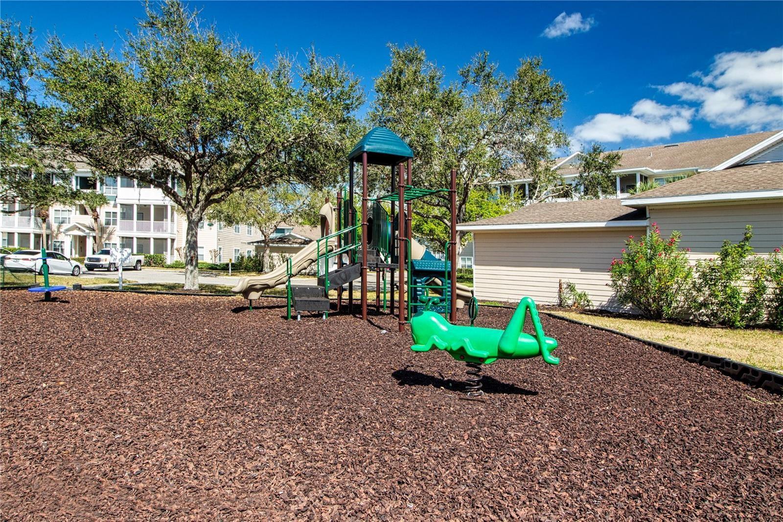 THE PALMS OF CORTEZ - Residential